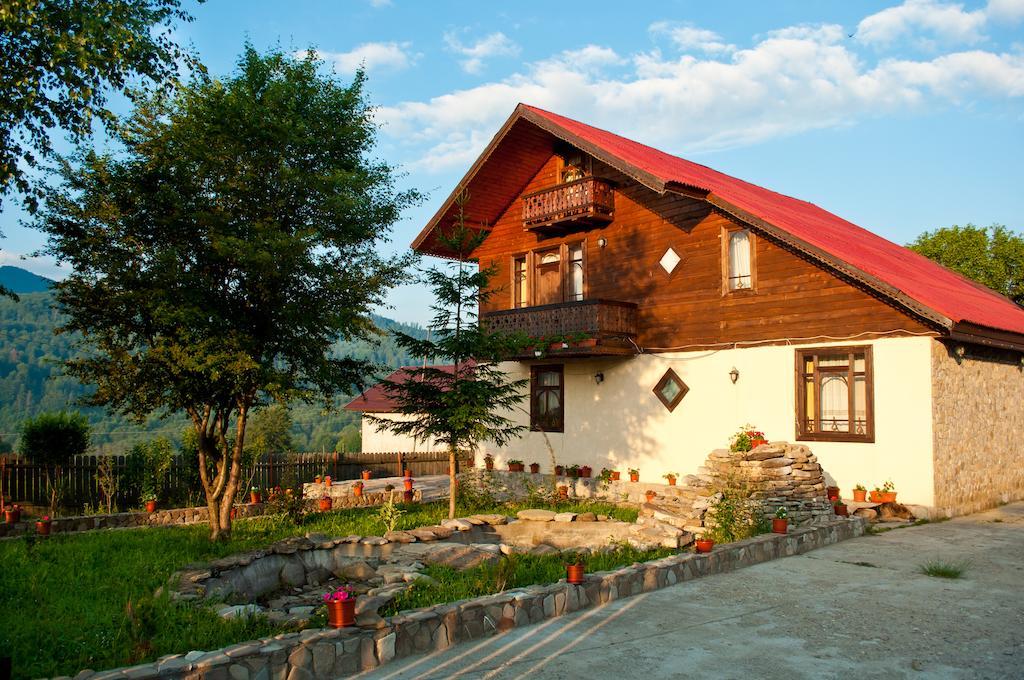 Hôtel Casa Lidia à Lepşa Extérieur photo