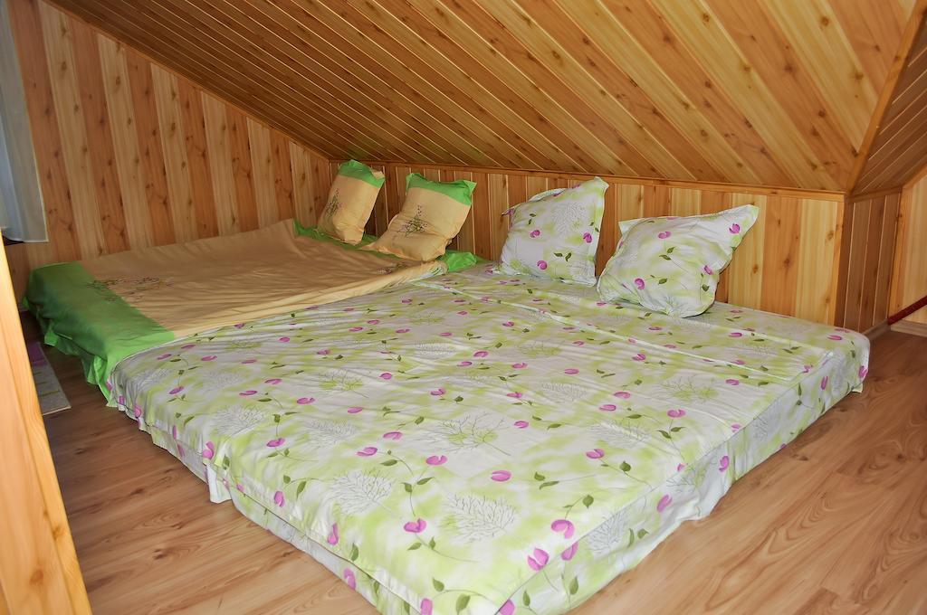 Hôtel Casa Lidia à Lepşa Chambre photo