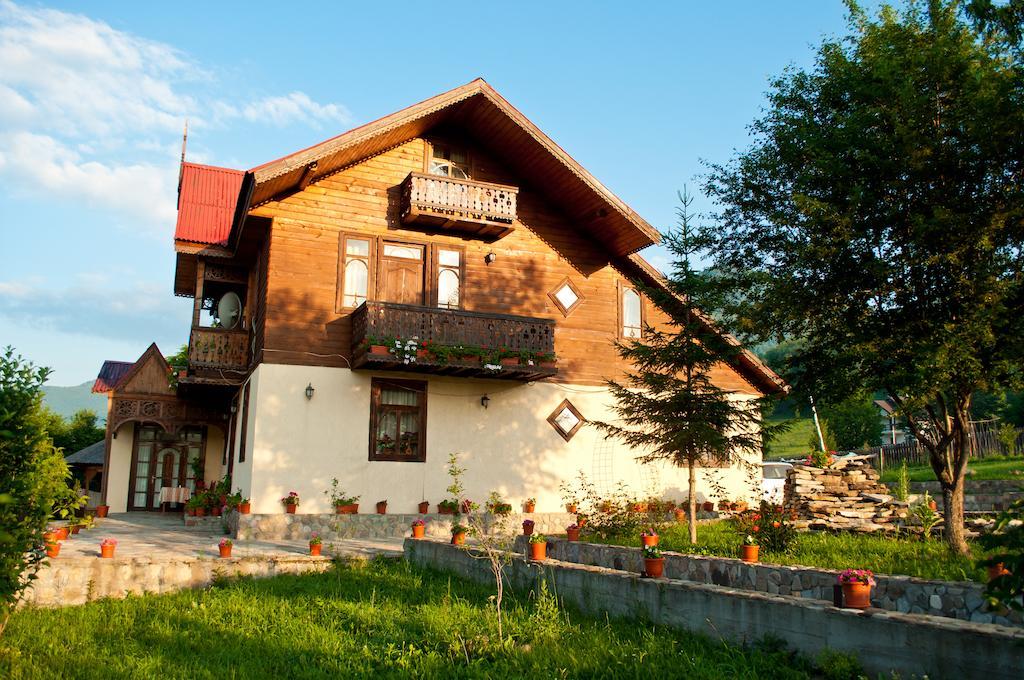 Hôtel Casa Lidia à Lepşa Extérieur photo