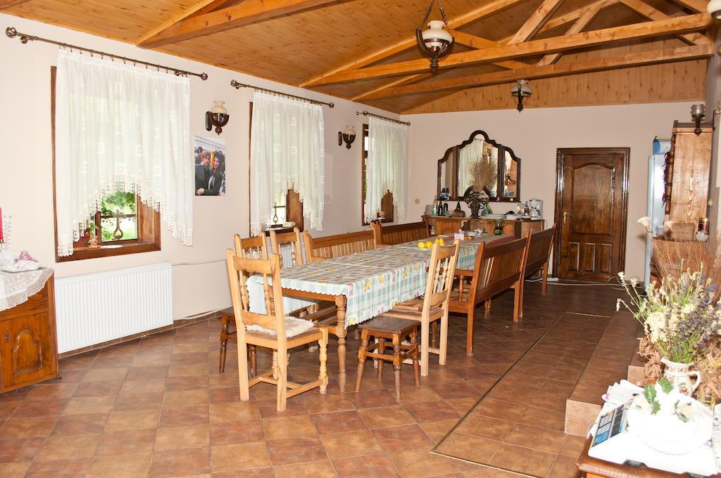 Hôtel Casa Lidia à Lepşa Extérieur photo
