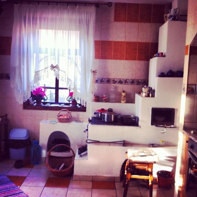 Hôtel Casa Lidia à Lepşa Extérieur photo